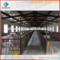 Showhoo prefab steel structure commercial chickens houses poultry house for sale